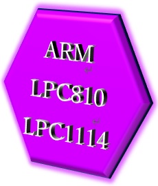ARM_MICON